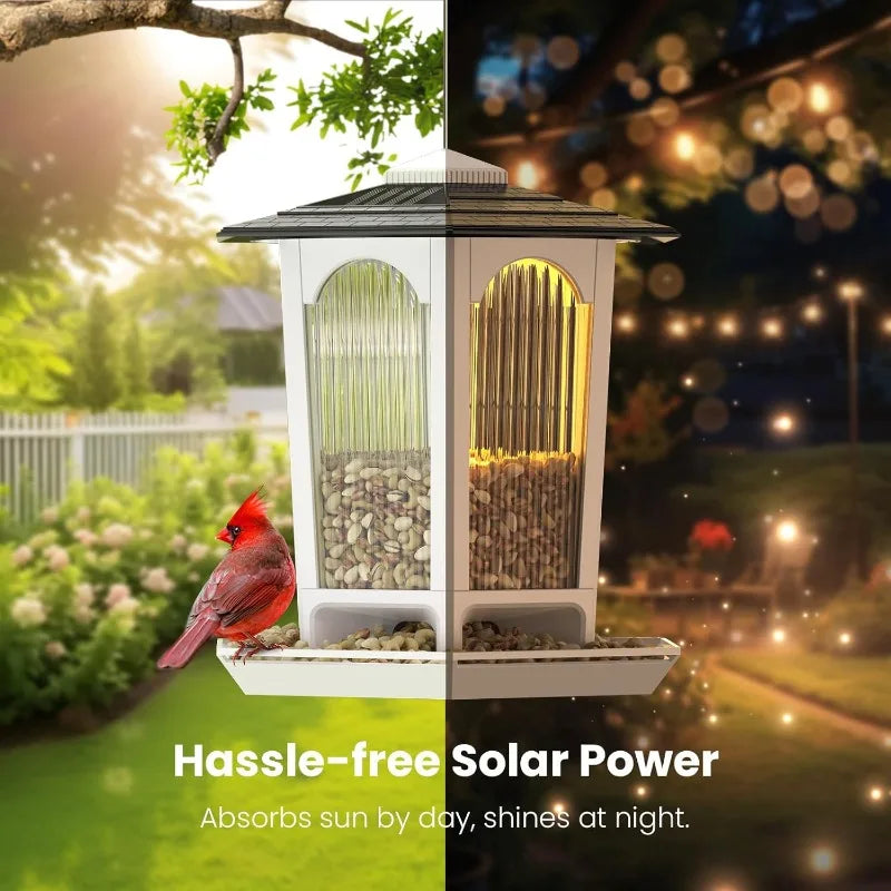 2 Pack Solar Bird Feeders for Outdoors Hanging Attract Wild Birds and Cardinals Elegant Minimalist Garden Decor