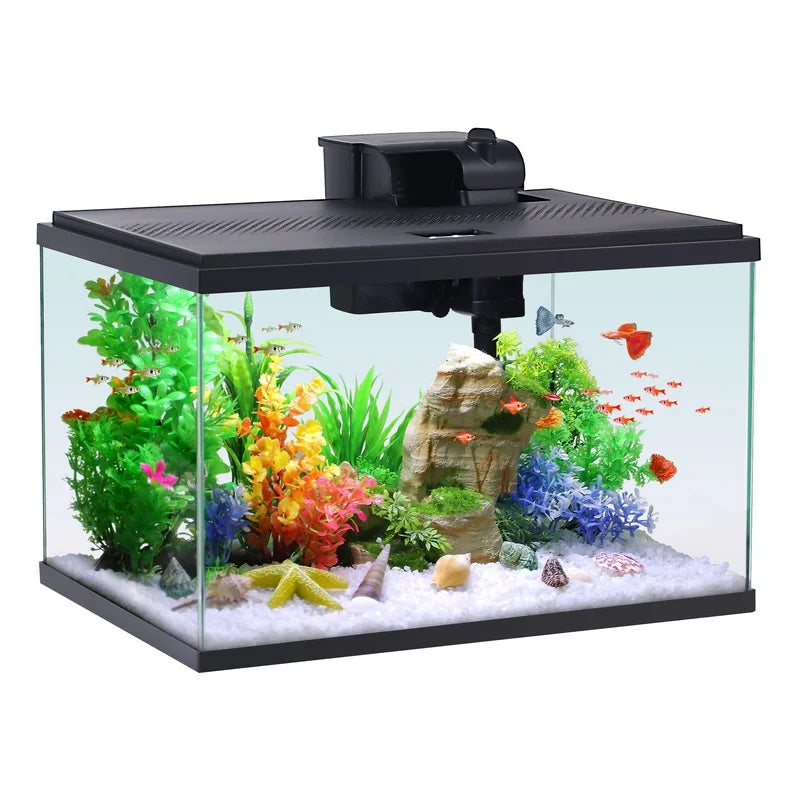 10 Gallon Aquarium Starter Kit Glass Fish Tank LED Lighting