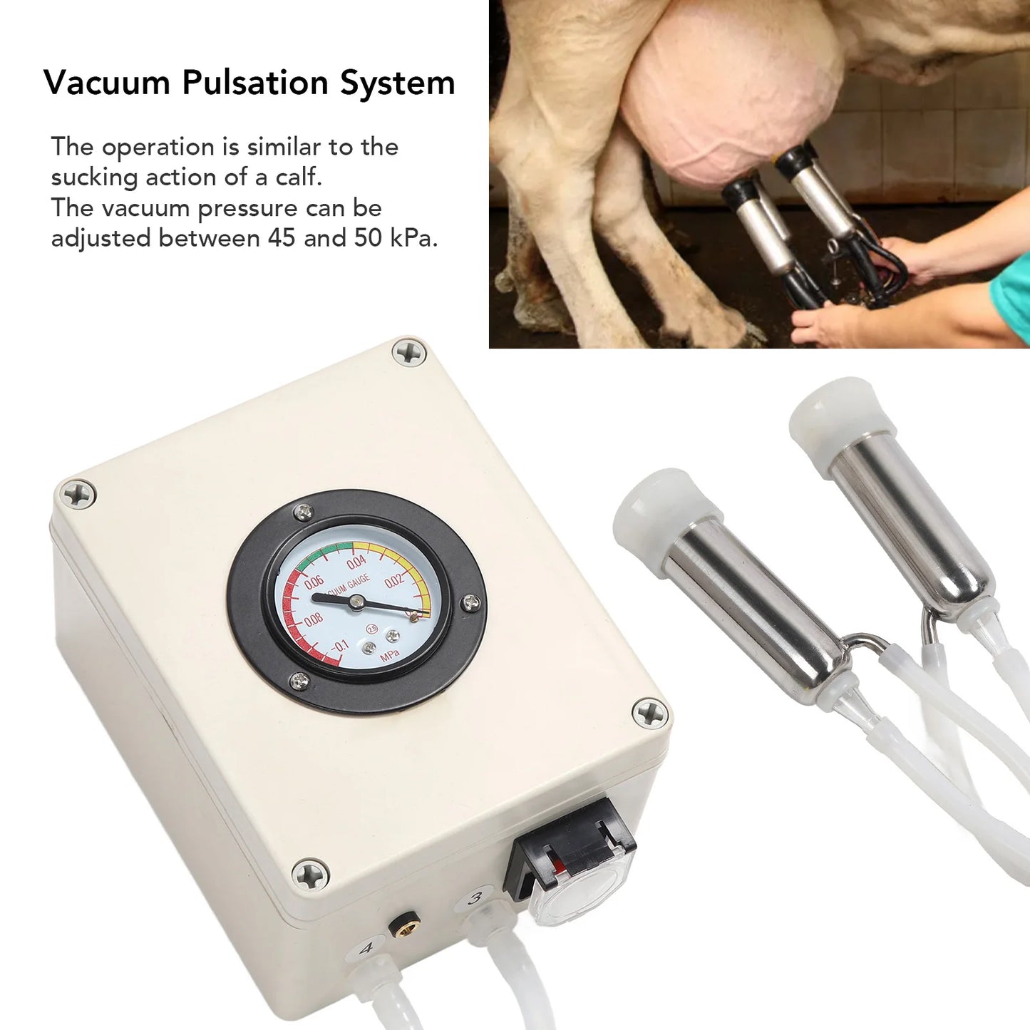 Goat Milking Machine Goat Milking Machine 6L Portable Stainless Steel Electric Automatic Pulsation Vacuum Milker Portable Milker