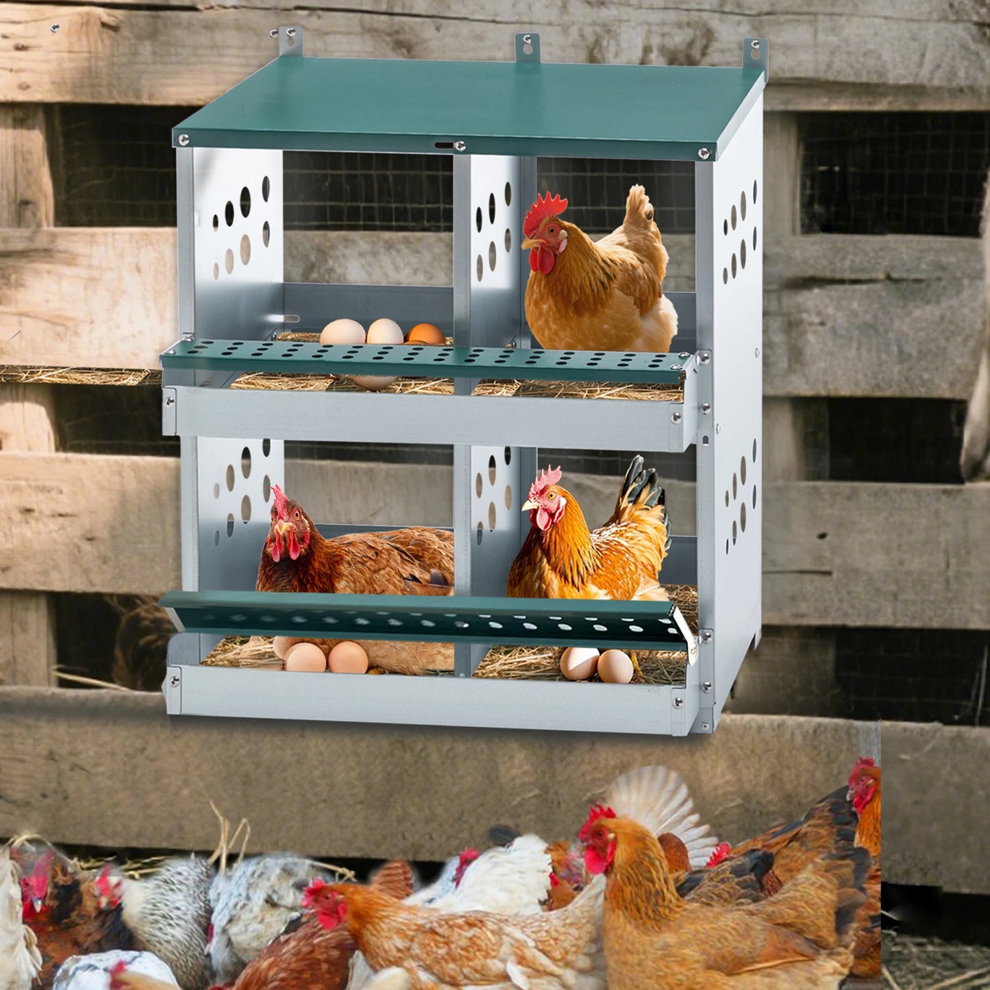 4 Compartment Chicken Nesting Boxes Metal Wall Mount Egg Laying Box for Different Chicken Breeds