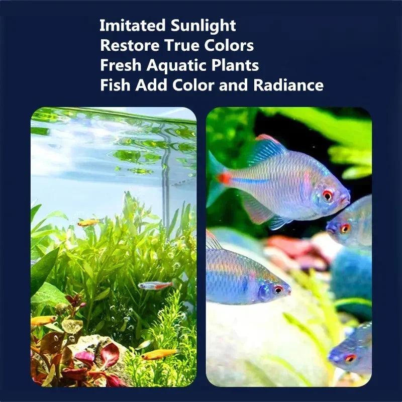 Mini Fish Waterproof Plant Aquarium Light Aquariums LED Lamp 5V Underwater Fish 3W Lamp Light Lighting Tank Fish USB Tank Decor