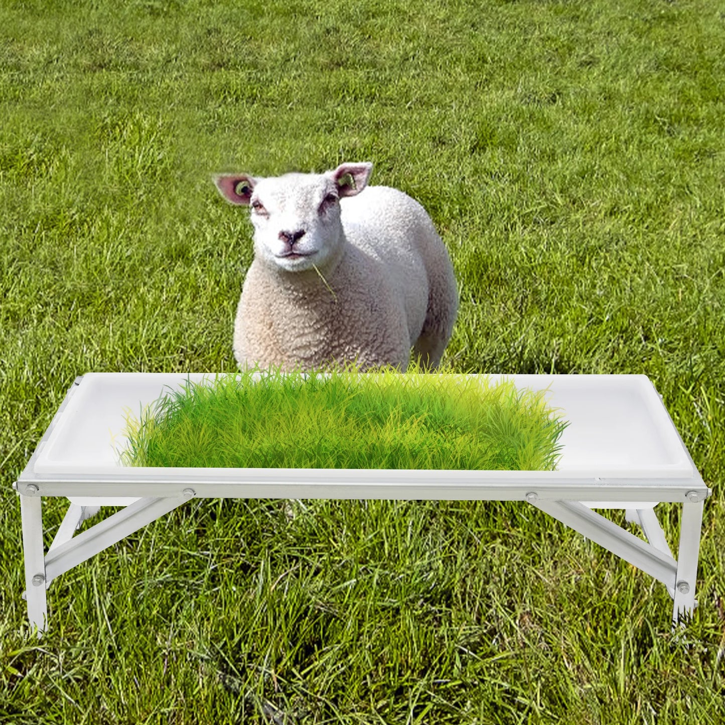 White Thickened Livestock Feed Trough, 9.25Gal Large Capacity Livestock Feeding Supplies with Bracket for Farms and Courtyards