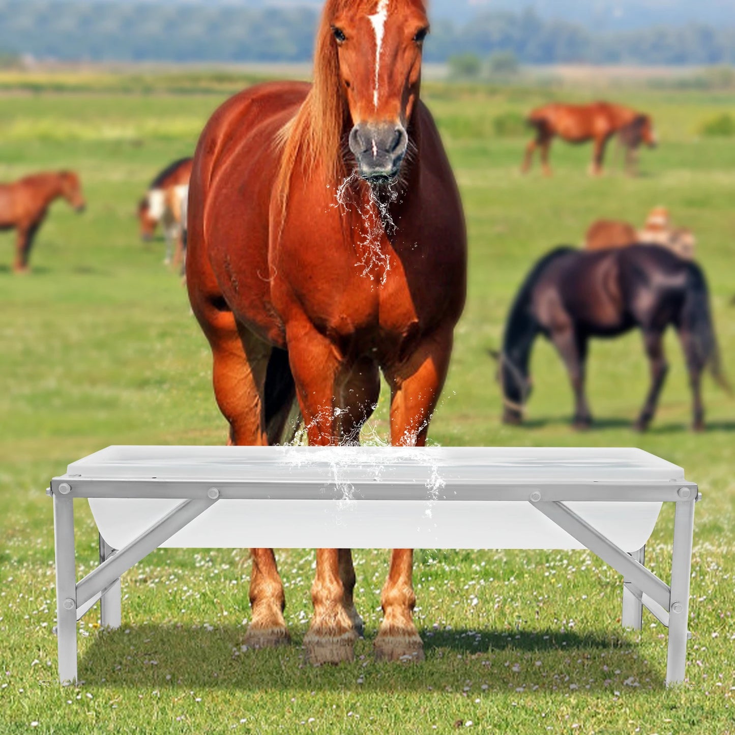 White Thickened Livestock Feed Trough, 9.25Gal Large Capacity Livestock Feeding Supplies with Bracket for Farms and Courtyards