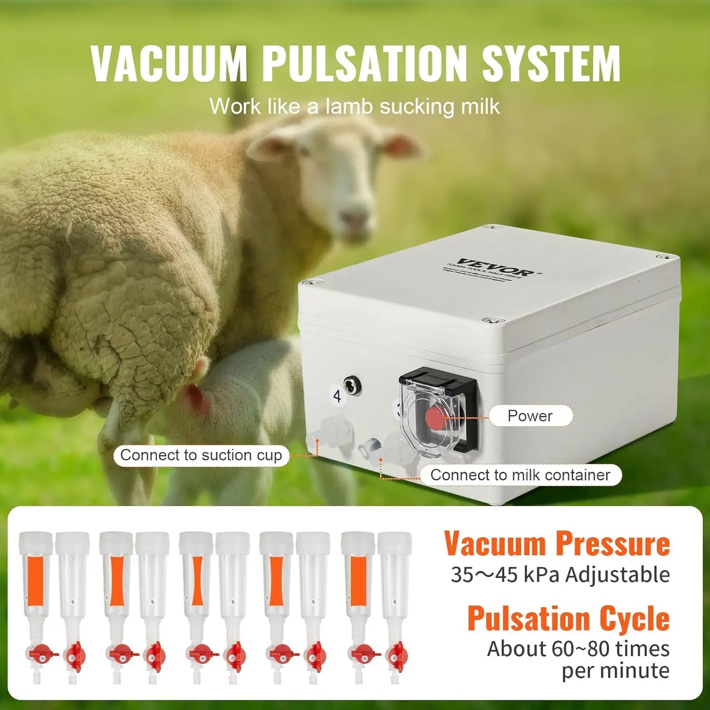 Goat Milking Machine, 3 L 304 Stainless Steel Bucket, Electric Automatic Pulsation Vacuum Milker with Food-Grade Silicone Cups