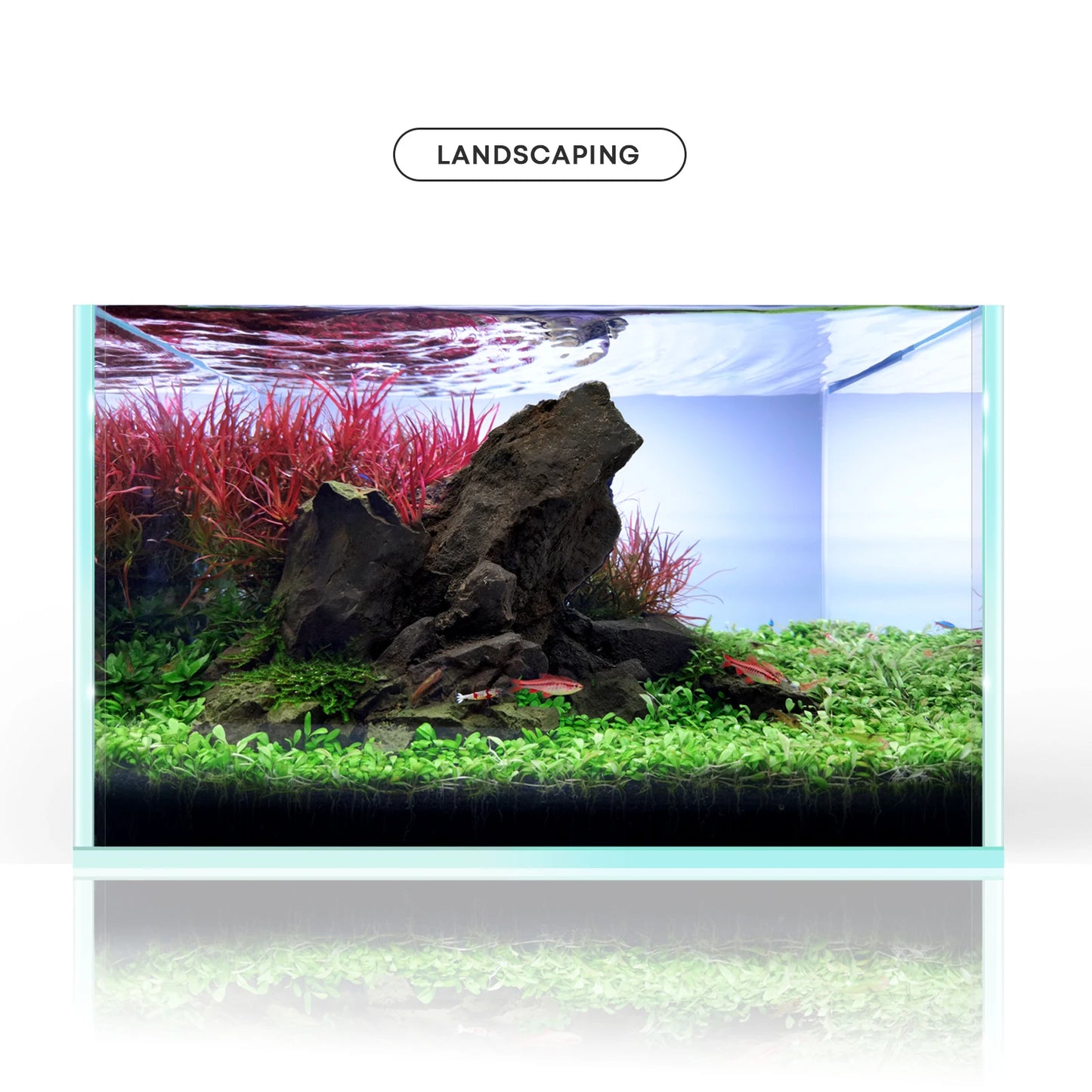 FZONE Resin Manten Stone and Driftwood Model Nature Aquarium Rocks for Aquascaping Hardscape