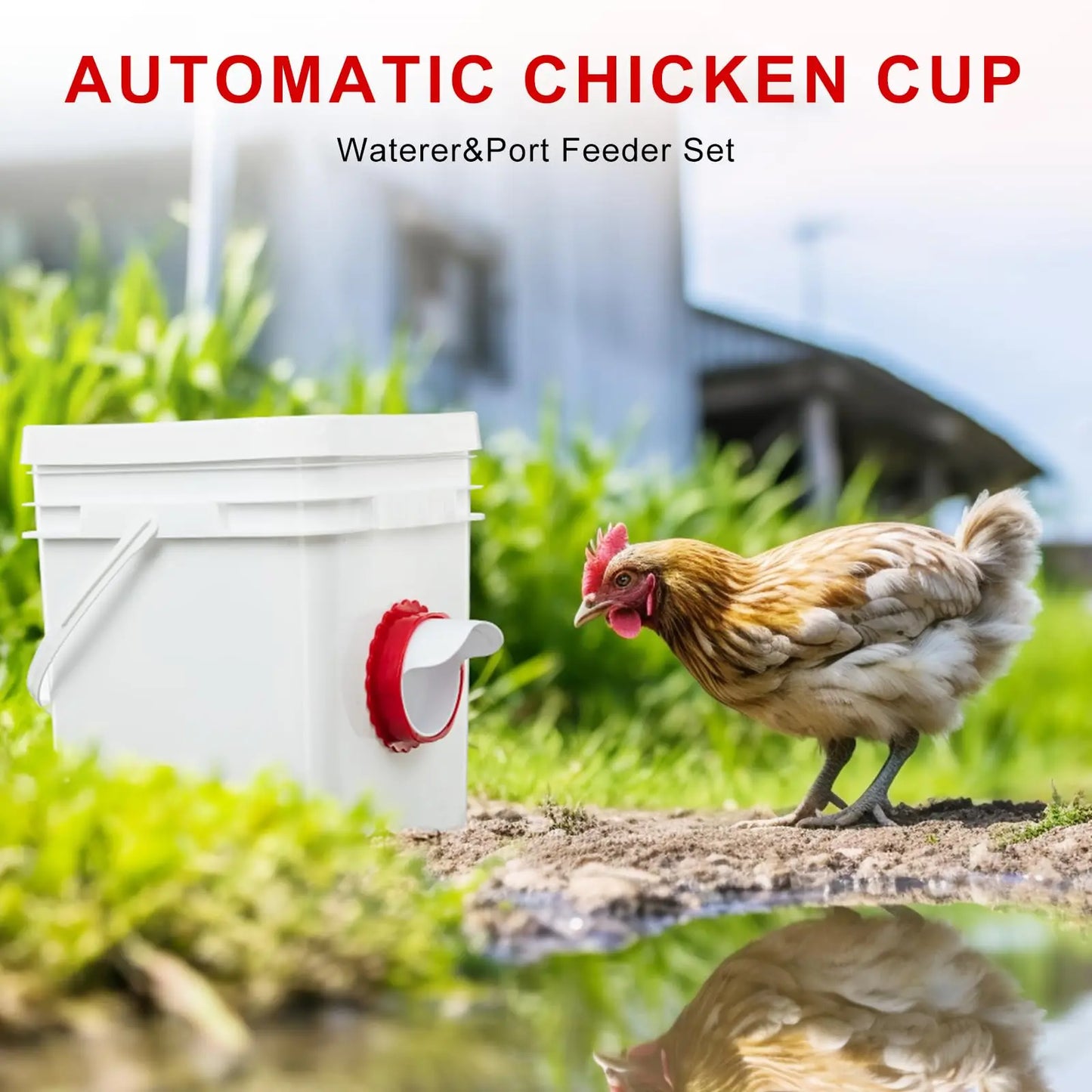 Rainproof Automatic Feeder Poultry Farming Chicken Feeder for Chicken Duck Bird Goose Rainproof Poultry Feeder Kit ﻿