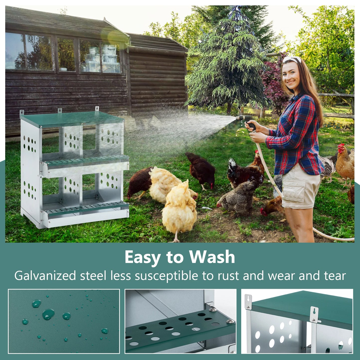 4 Compartment Chicken Nesting Boxes Metal Wall Mount Egg Laying Box for Different Chicken Breeds