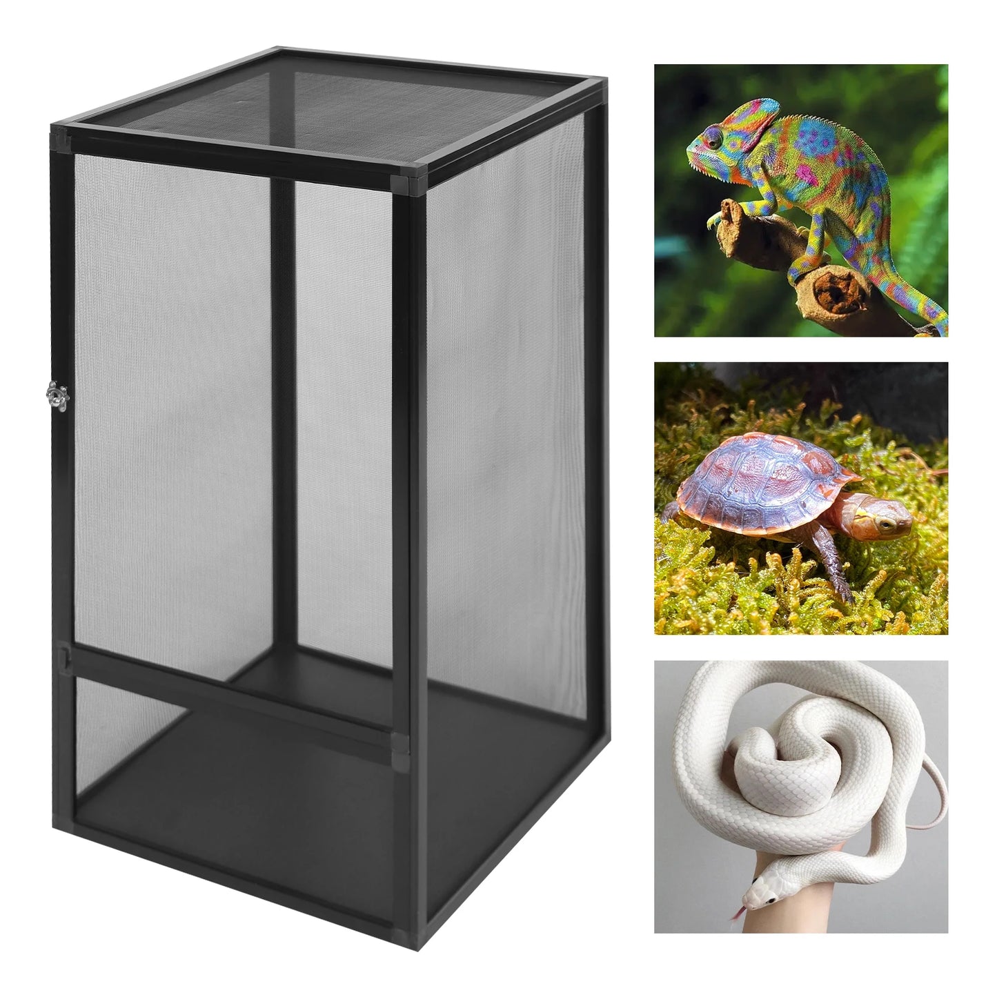 Freestanding Reptile Feeding Box Micro Habitat Enclosure