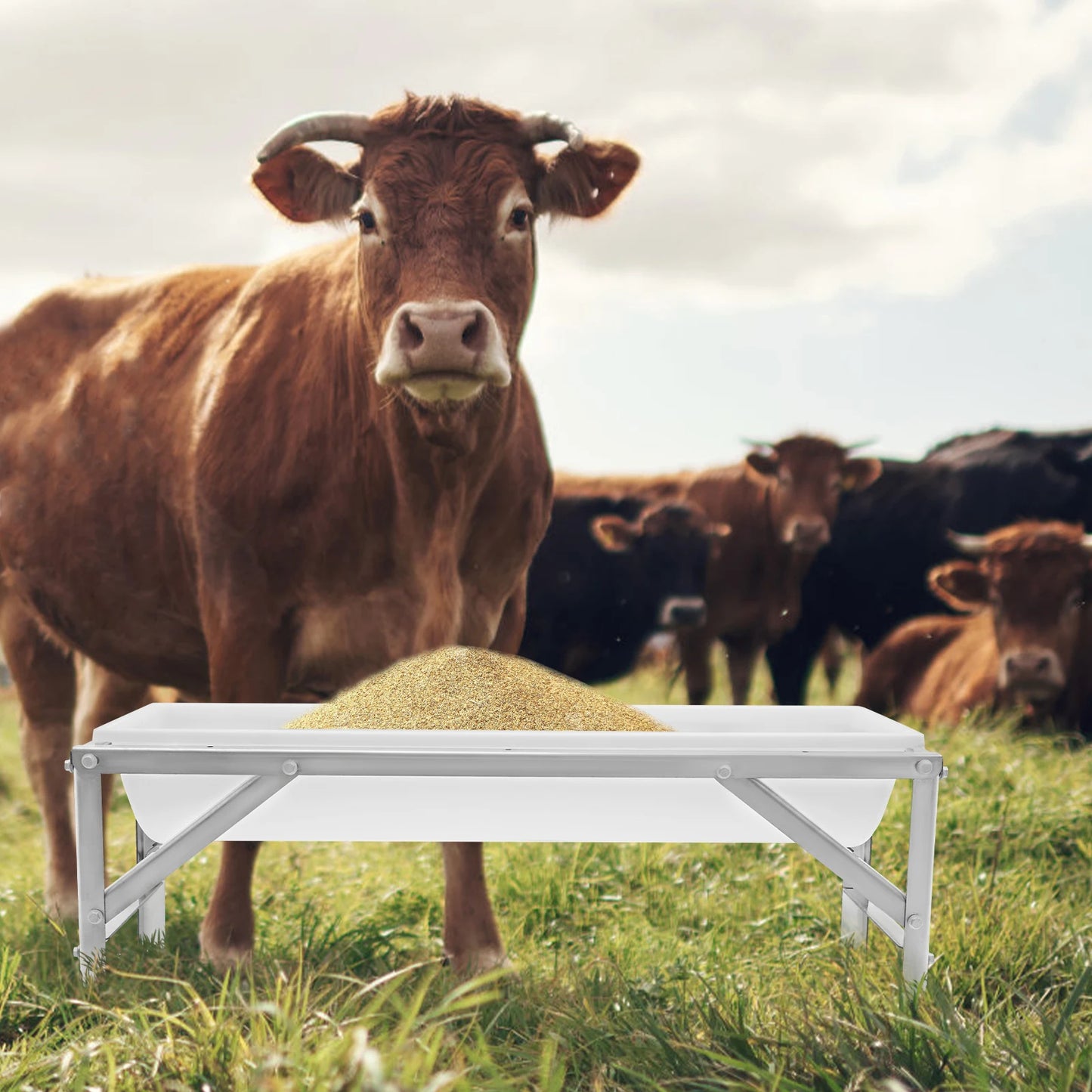 White Thickened Livestock Feed Trough, 9.25Gal Large Capacity Livestock Feeding Supplies with Bracket for Farms and Courtyards