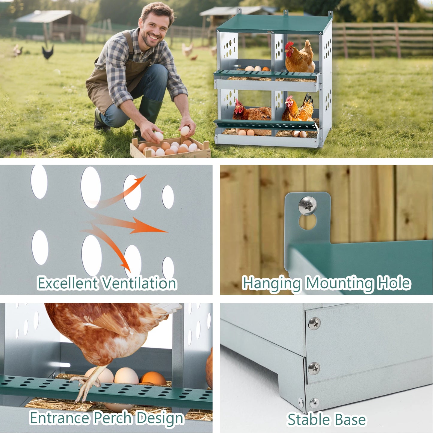 4 Compartment Chicken Nesting Boxes Metal Wall Mount Egg Laying Box for Different Chicken Breeds
